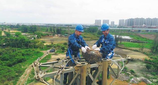 保護(hù)生態(tài)和諧共生，IKAR防墜器出一份力！